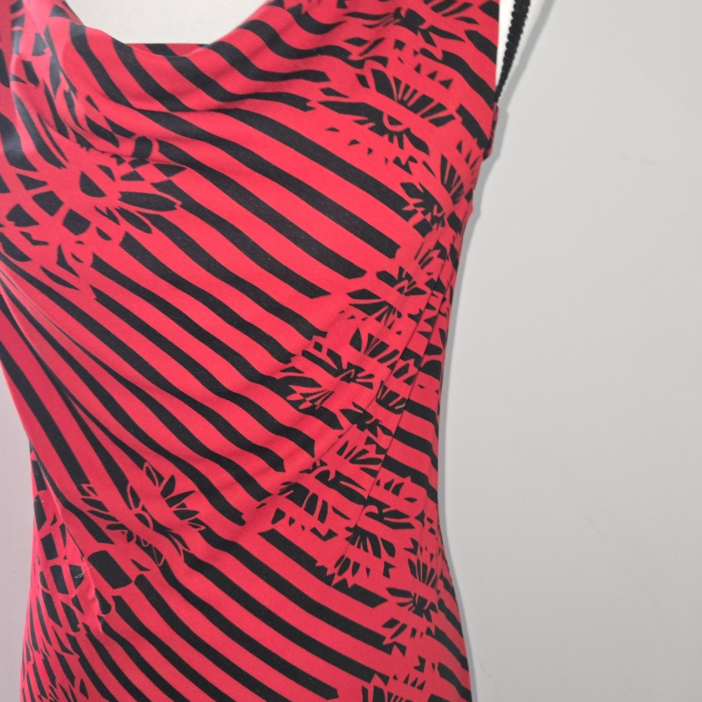 Express Red and Black Floral Striped Dress